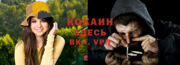 сатива Михайлов