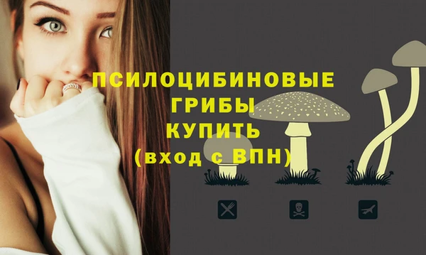 Альфа ПВП Михайловка