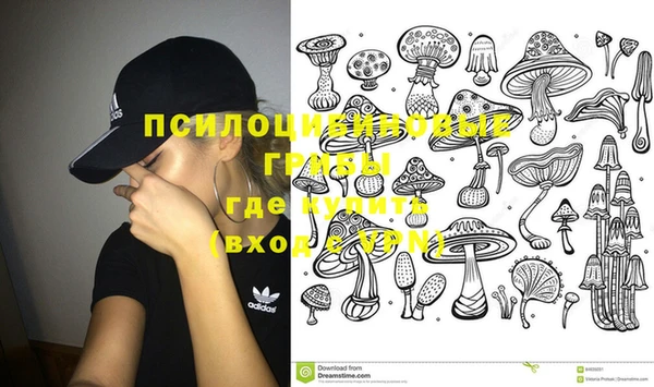 Альфа ПВП Михайловка