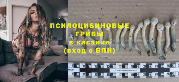 сатива Михайлов