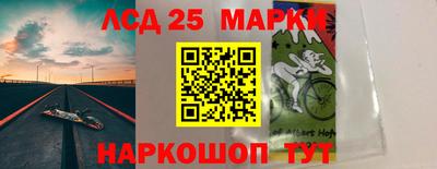 шишки Будённовск