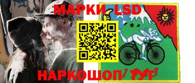 шишки Будённовск