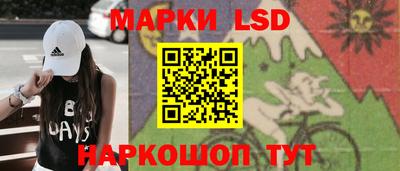 гидропоника Дубна