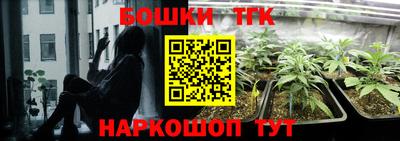 шишки Будённовск