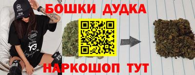 гидропоника Дубна
