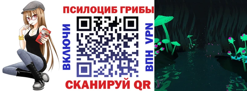 ссылка на мегу ССЫЛКА  Старая Русса  Галлюциногенные грибы Magic Shrooms  купить  