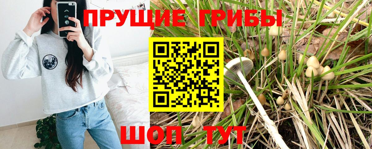 Галлюциногенные грибы Cubensis Старая Русса