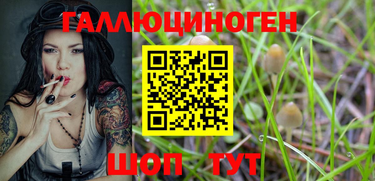 Галлюциногенные грибы Cubensis  Галлюциногенные грибы Magic Shrooms  Старая Русса 