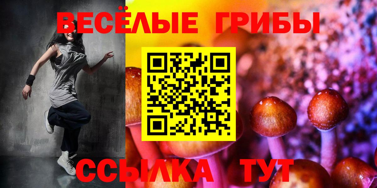 Старая Русса  Галлюциногенные грибы Psilocybine cubensis  Вход с VPN  Псилоцибиновые грибы Magic Shrooms 